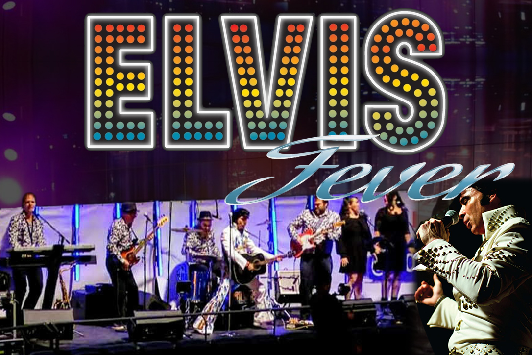 Elvis Fever Groupe